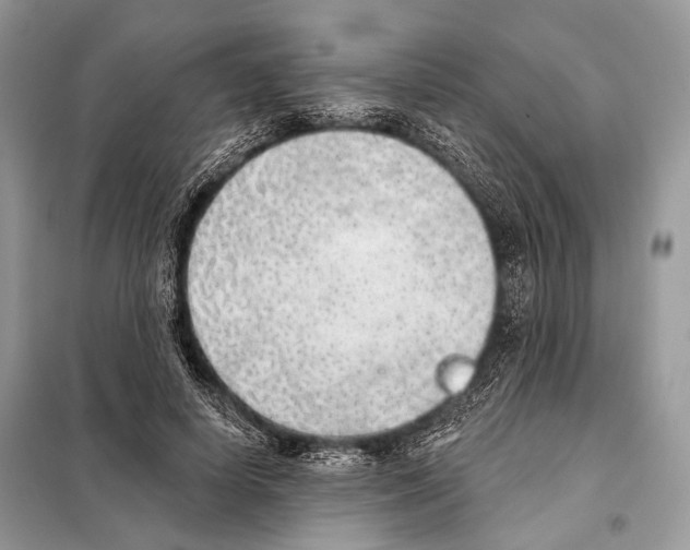 X0000098110642200805021133