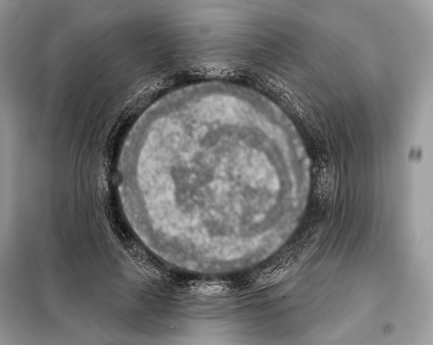 X0000098110643200805021133