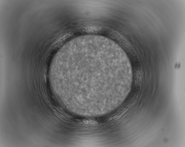 X0000098110644200805021133