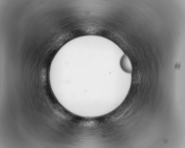 X0000098110646200805021133