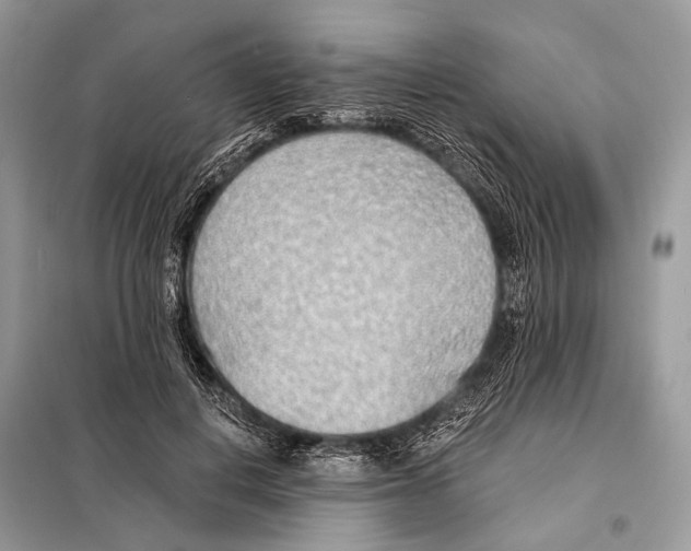 X0000098110648200805021133