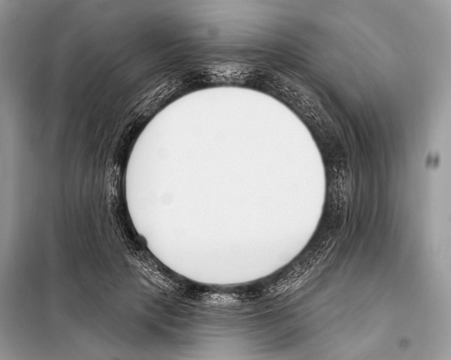 X0000098110649200805021133