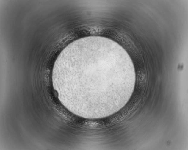 X0000098110650200805021133