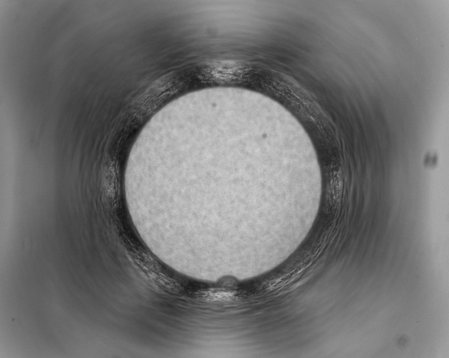 X0000098110651200805021133