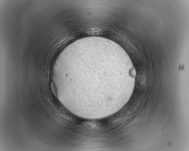 X0000098110652200805021133