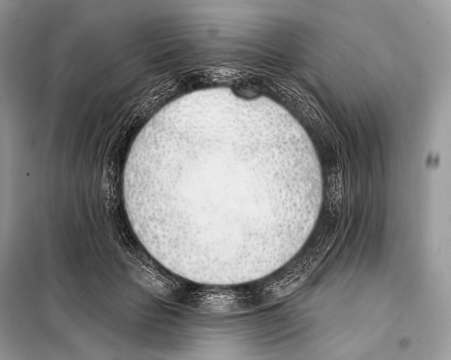 X0000098110653200805021133