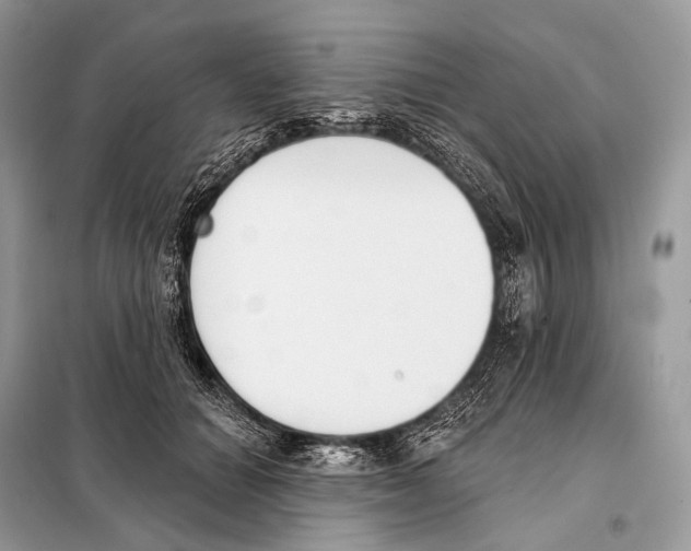 X0000098110654200805021133