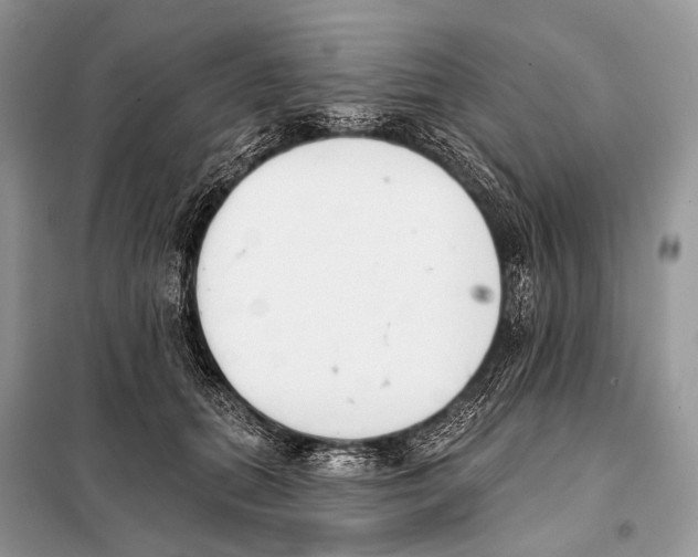 X0000098110655200805021133