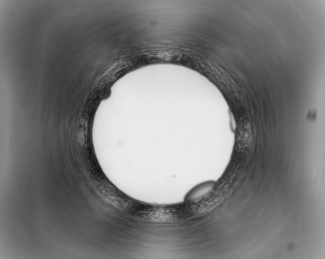 X0000098110656200805021134