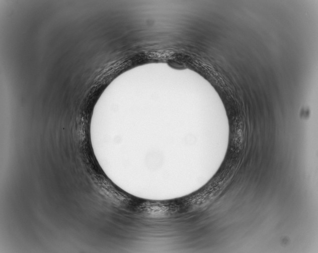 X0000098110658200805021134