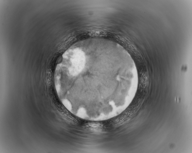 X0000098110659200805021134