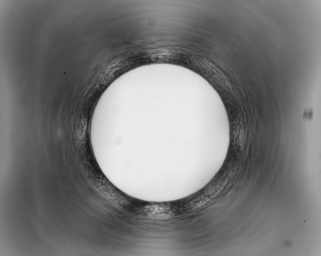 X0000098110660200805021134