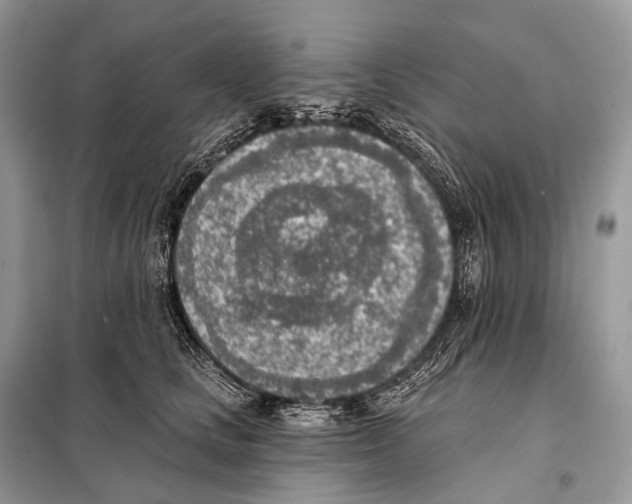 X0000098110661200805021134