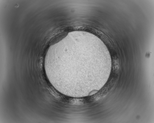 X0000098110664200805021134