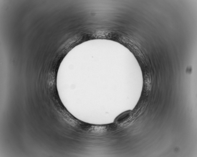 X0000098110665200805021134