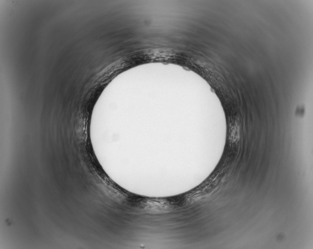 X0000098110666200805021134