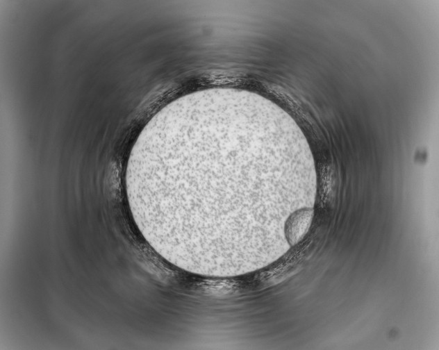 X0000098110667200805021134