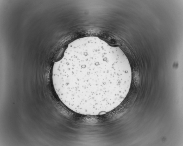 X0000098110668200805021134