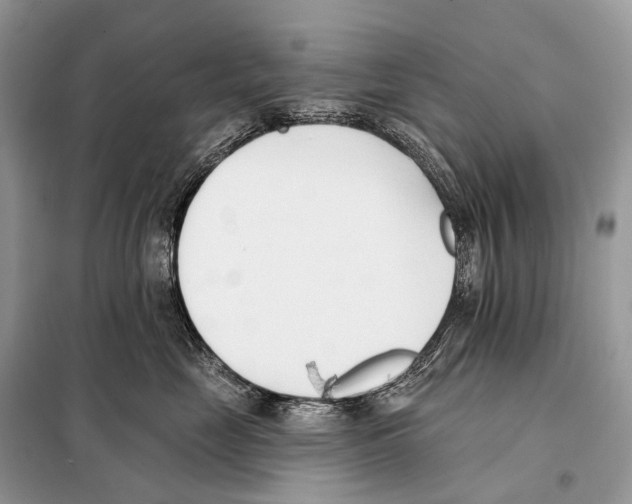 X0000098110669200805021134