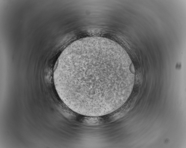 X0000098110671200805021134