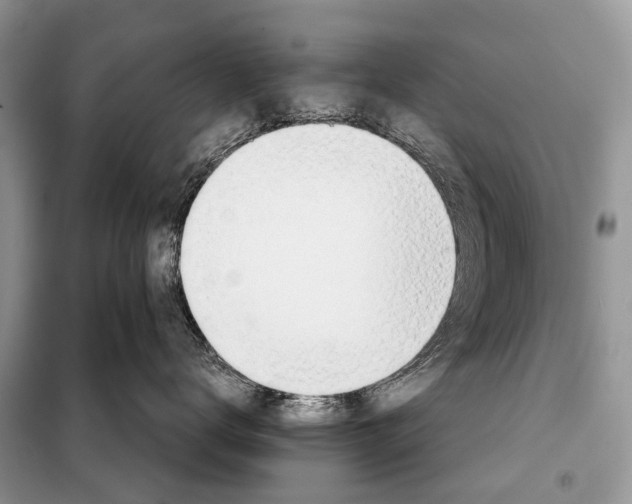 X0000098110672200805021134