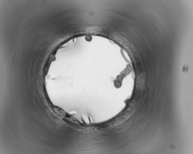 X0000098110673200805021133