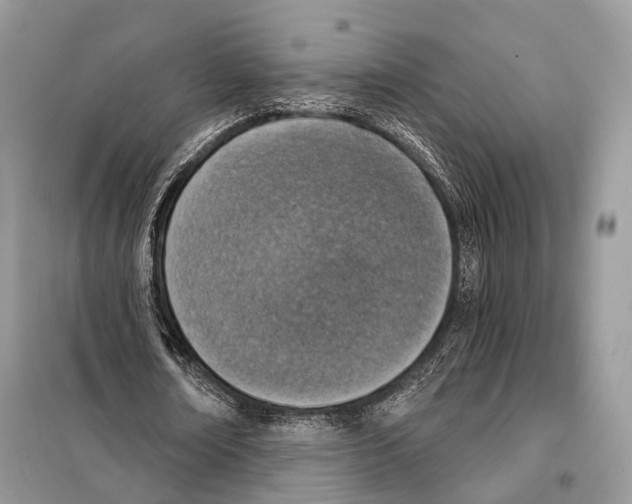 X0000098110674200805021133