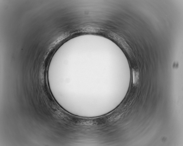 X0000098110675200805021133