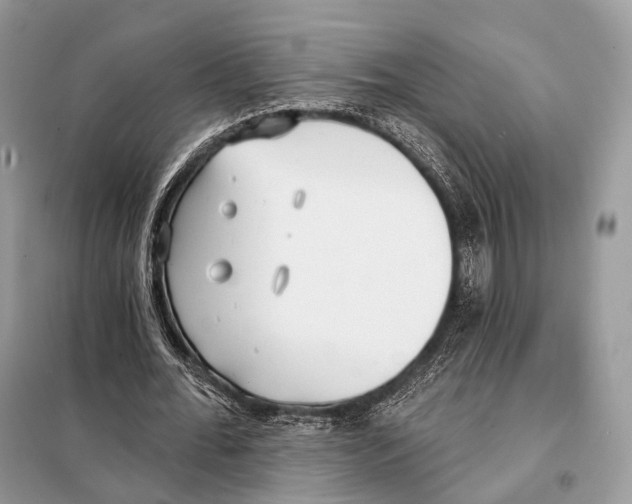 X0000098110676200805021133