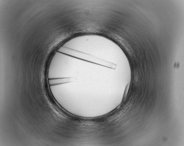 X0000098110677200805021133