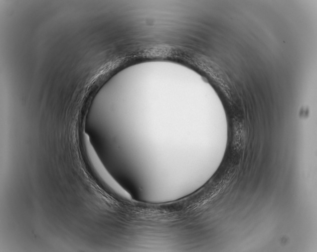 X0000098110681200805021133