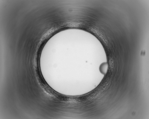 X0000098110682200805021133