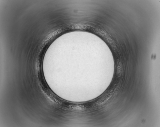 X0000098110683200805021133