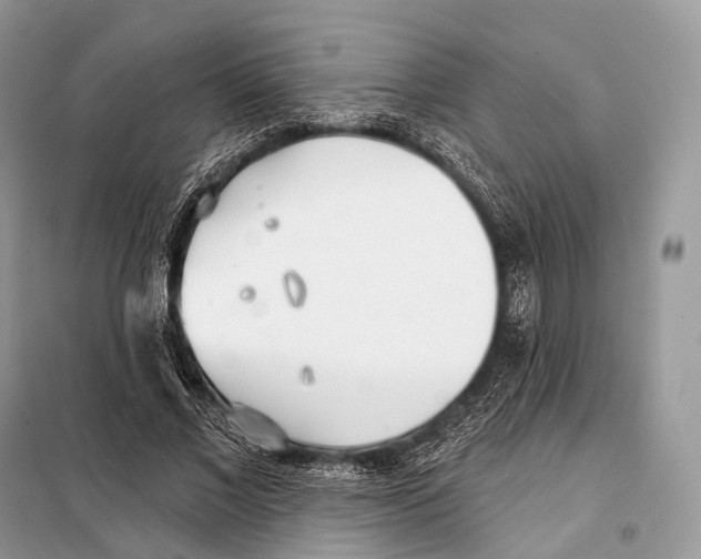 X0000098110685200805021133