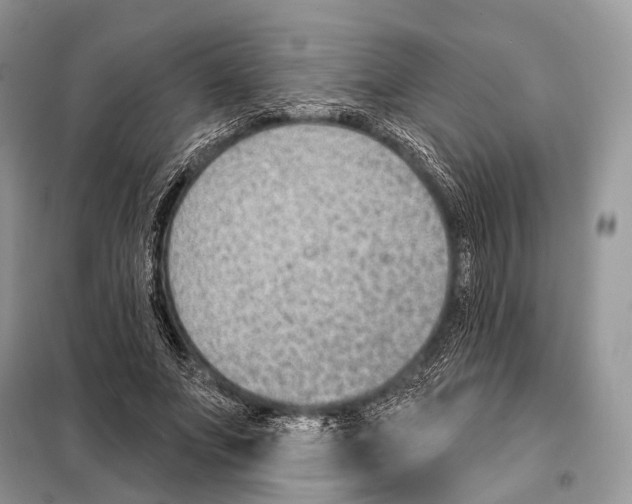 X0000098110687200805021133