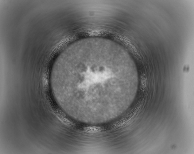 X0000098110691200805021133