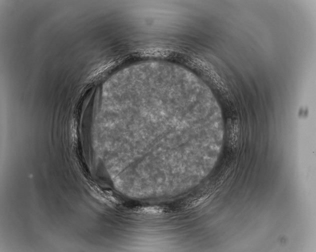 X0000098110692200805021133