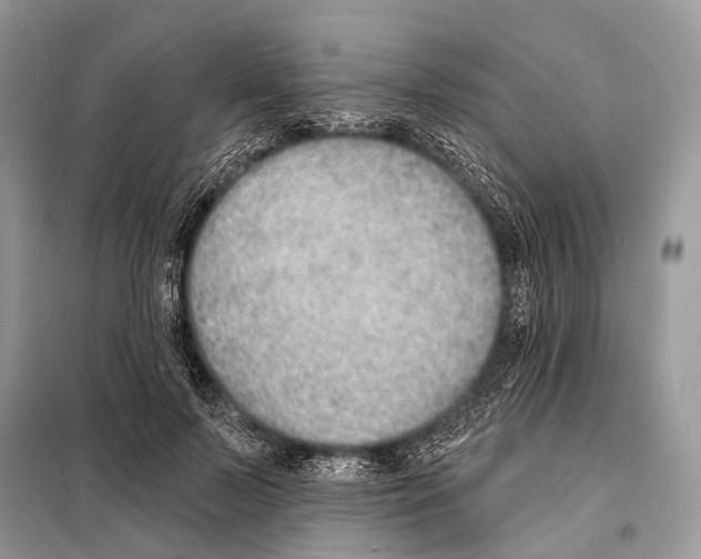 X0000098110695200805021133