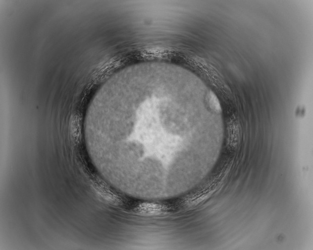 X0000098110699200805021133