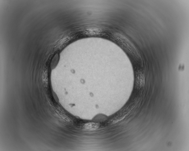 X0000098110700200805021133