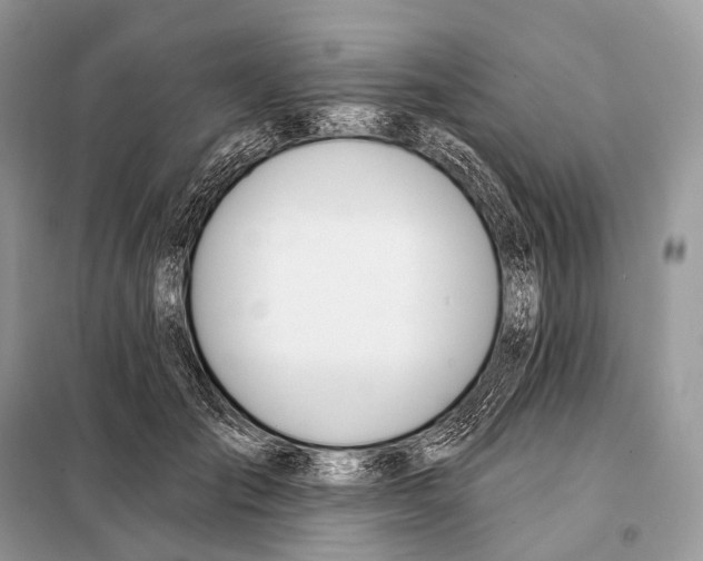 X0000098110701200805021133