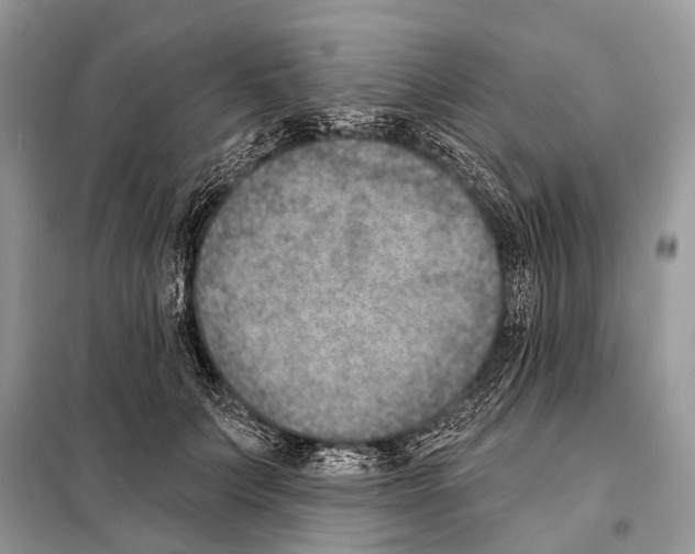 X0000098110703200805021133