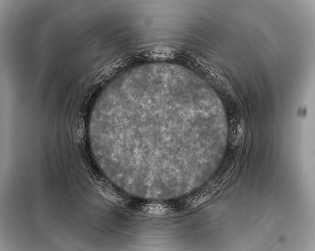 X0000098110704200805021133