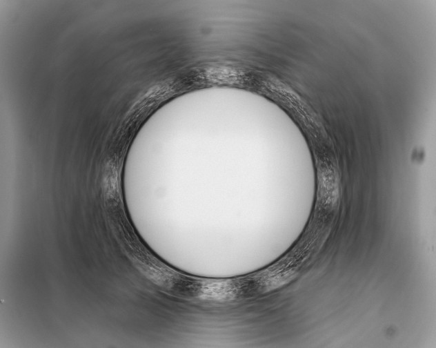 X0000098110705200805021133