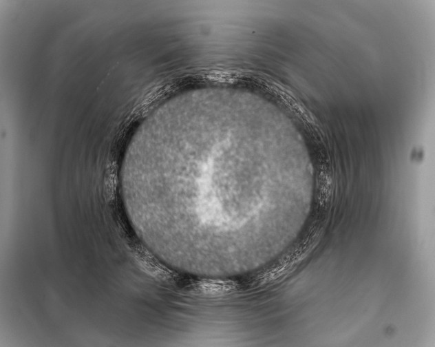 X0000098110707200805021133