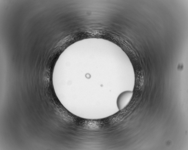 X0000098110710200805021133