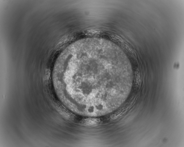 X0000098110711200805021133