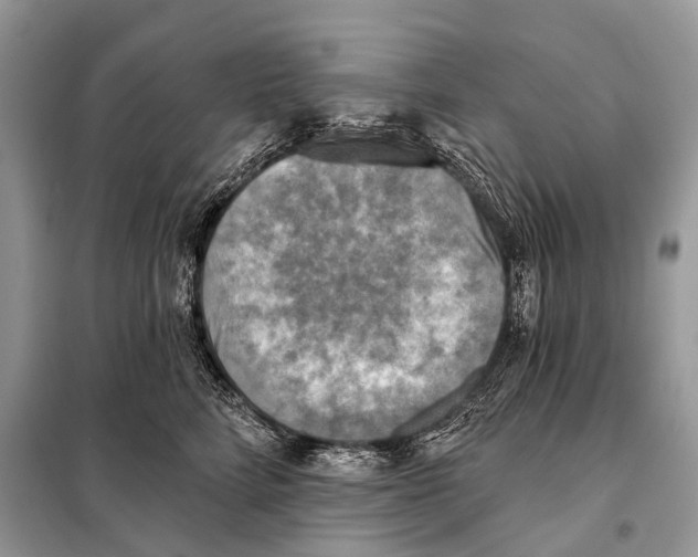 X0000098110712200805021133