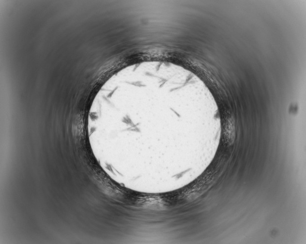 X0000098110715200805021132