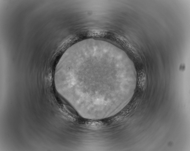 X0000098110716200805021132